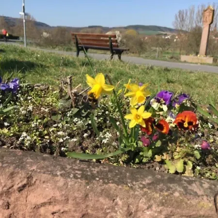 Tauber Sonnen Tauberbischofsheim