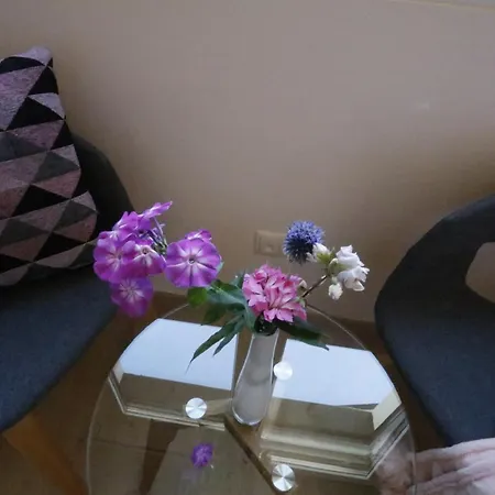 Daire Tauber Sonnen *