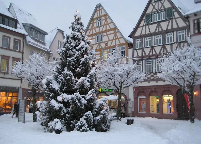 Tauber Sonnen * 陶博比斯霍夫斯海姆