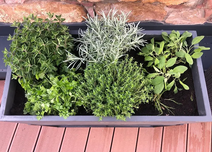 Tauber Sonnen 公寓